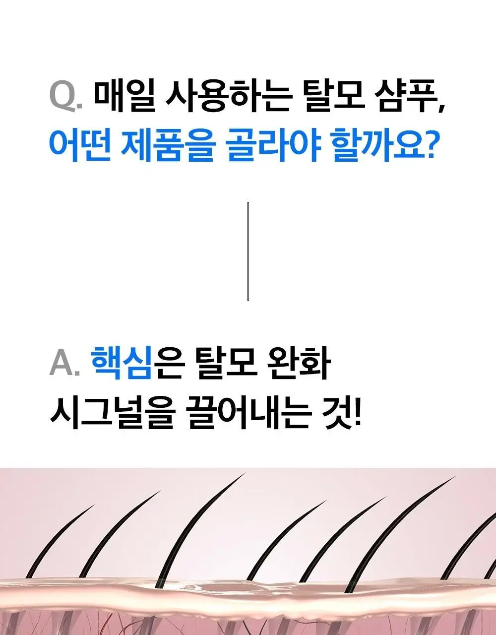 [탈모증상개선] 리필드 사이토카인 한/중/미 단독 특허 탈모샴푸 380ml 3종 택 1 상세페이지 7